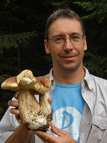 Collecting boletes Collecting boletes
