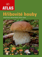 Sutara_et_al_boletes