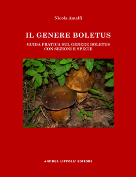 Amalfi Il genere Boletus