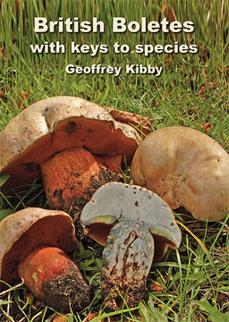 British boletes